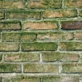 Ensure a Mold-Free Patio Installation in South Salt Lake