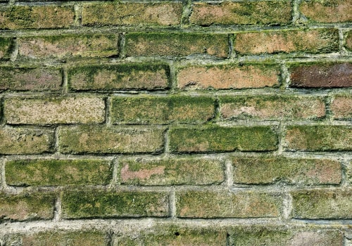 Ensure a Mold-Free Patio Installation in South Salt Lake